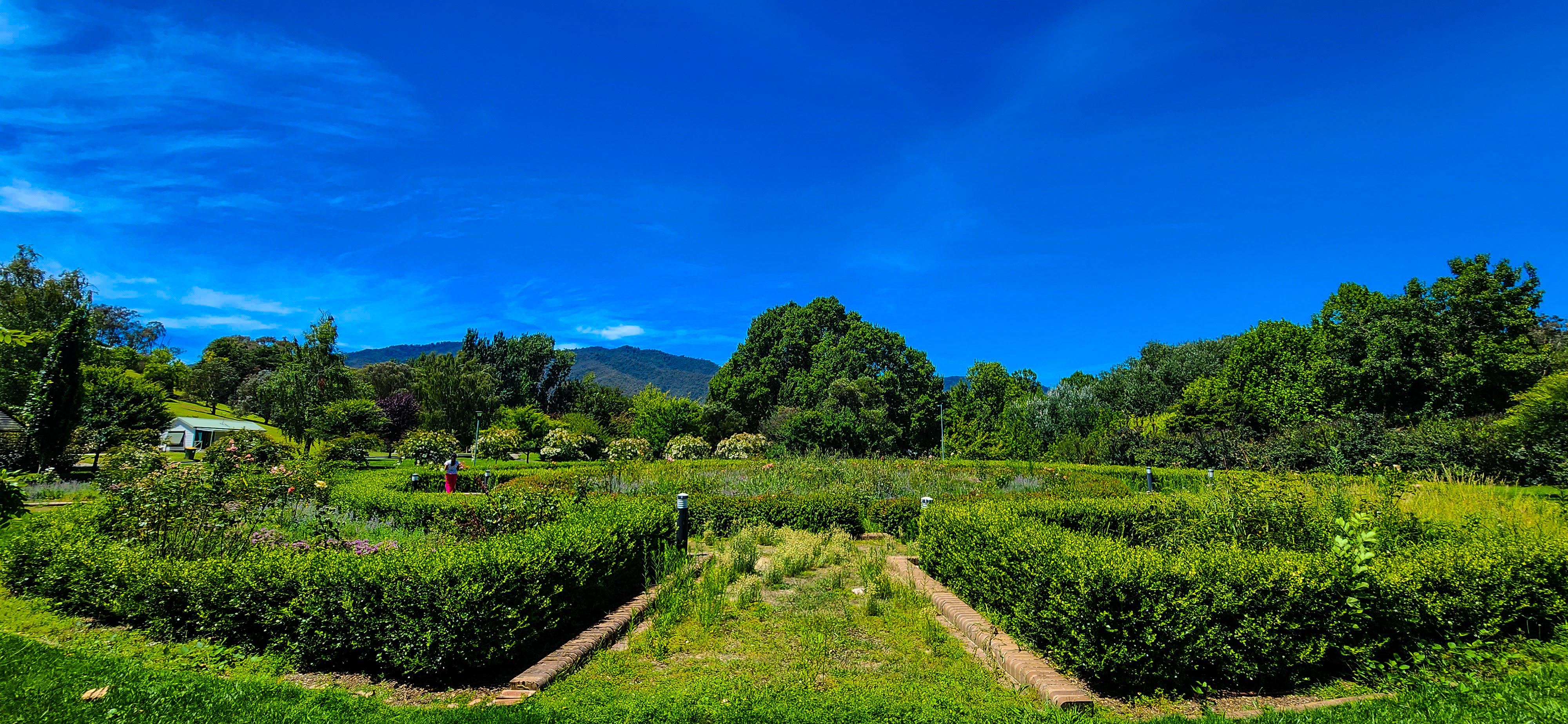 Khancoban Rose Garden